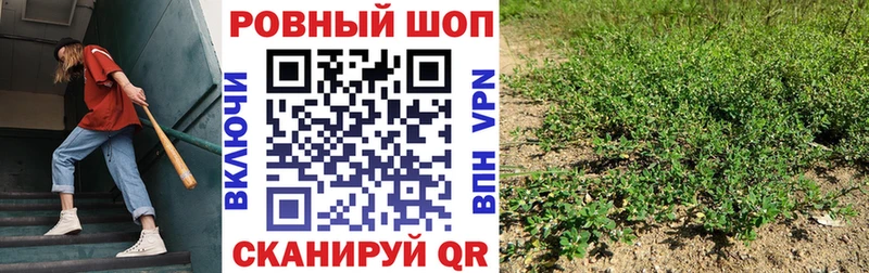А ПВП Рыльск